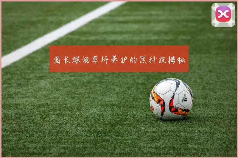 酋长球场草坪养护的黑科技揭秘