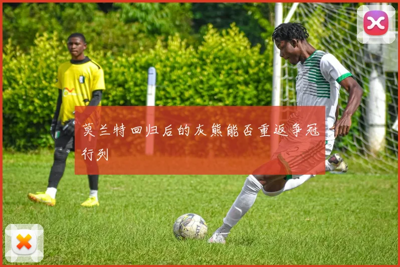 莫兰特回归后的灰熊能否重返争冠行列