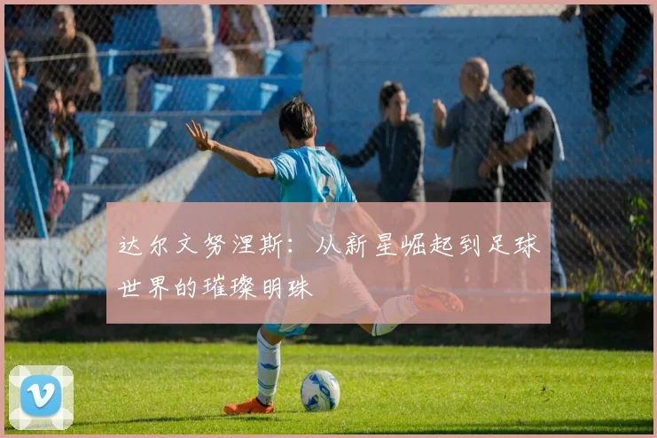 达尔文努涅斯：从新星崛起到足球世界的璀璨明珠