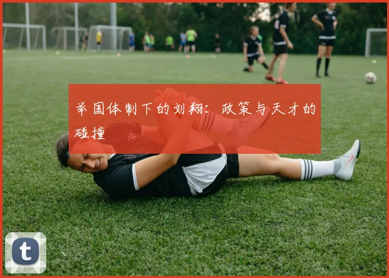 举国体制下的刘翔：政策与天才的碰撞