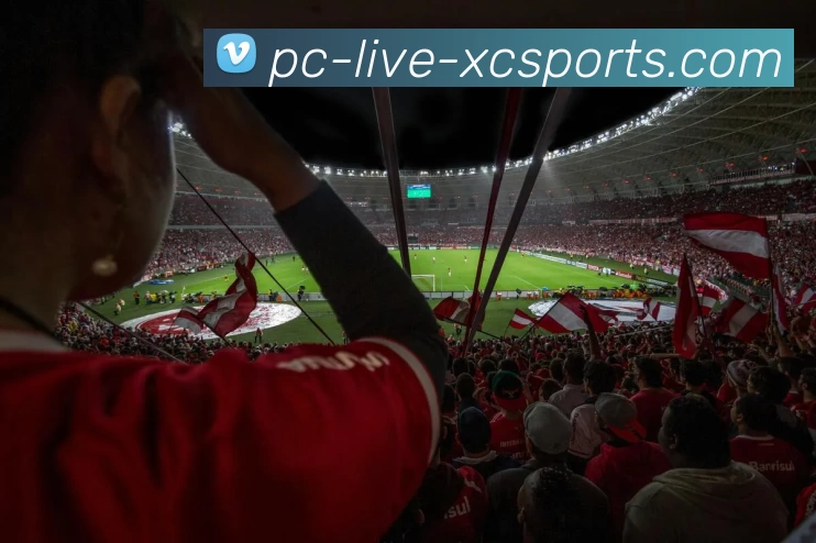 杏彩平台生态图